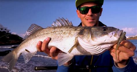 Lured Fishing (@lured.